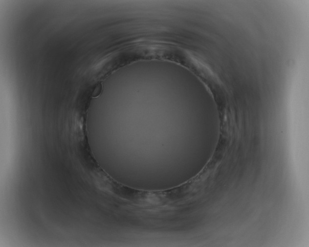 X0000113781013200909301145