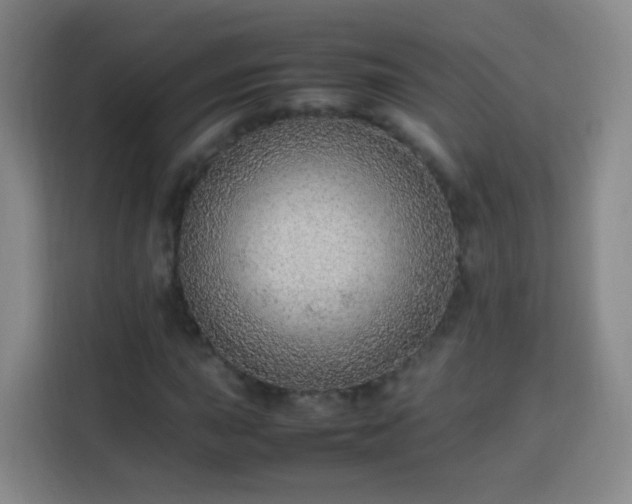 X0000113781015200909301145
