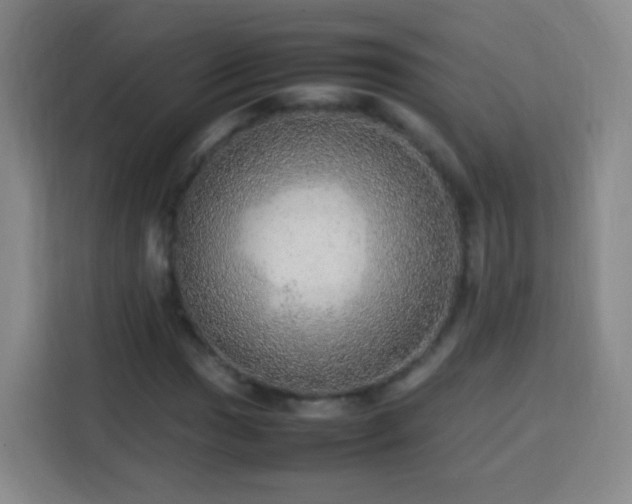 X0000113781017200909301145