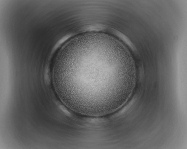 X0000113781018200909301145