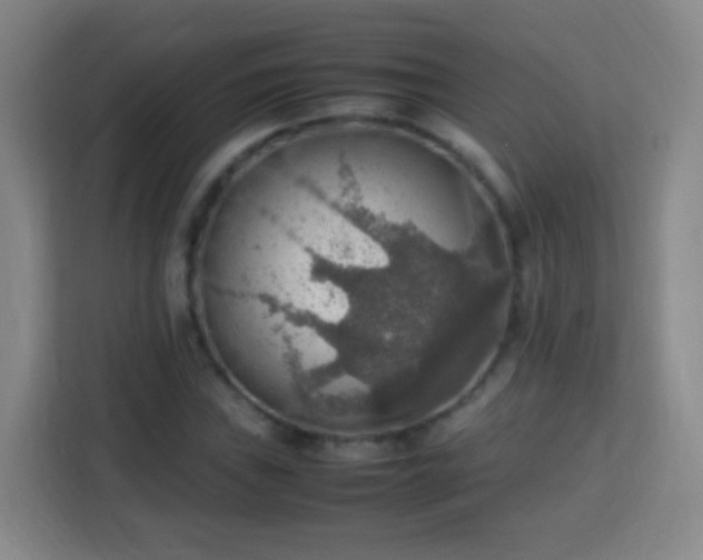 X0000113781019200909301145