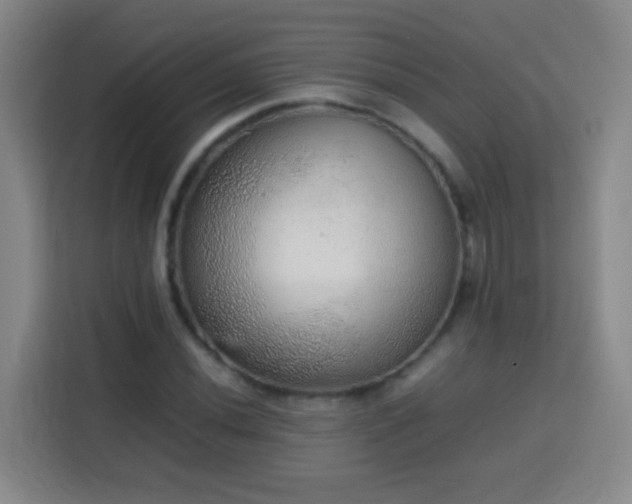 X0000113781020200909301145