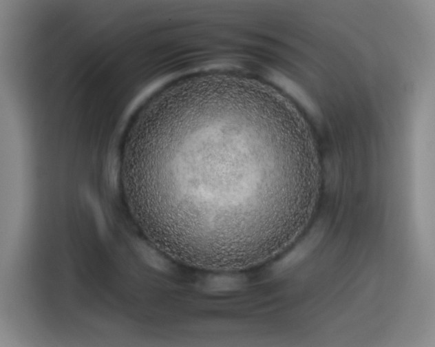 X0000113781021200909301145
