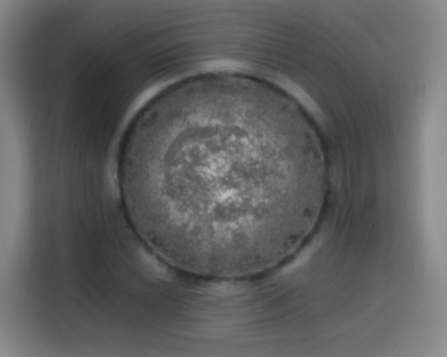X0000113781022200909301145