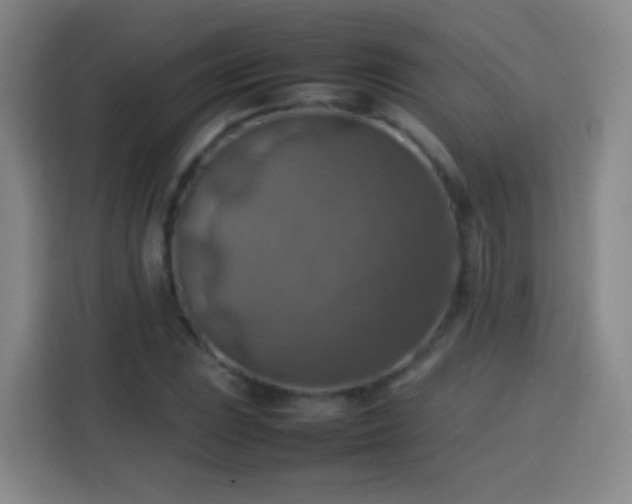 X0000113781023200909301145