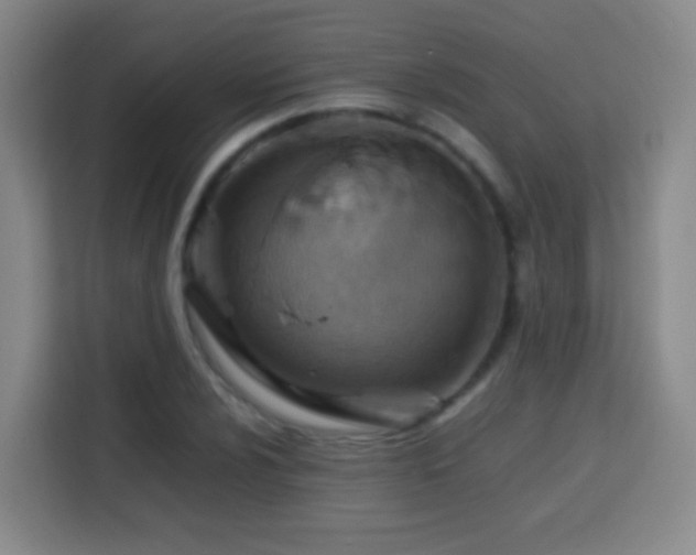 X0000113781024200909301145