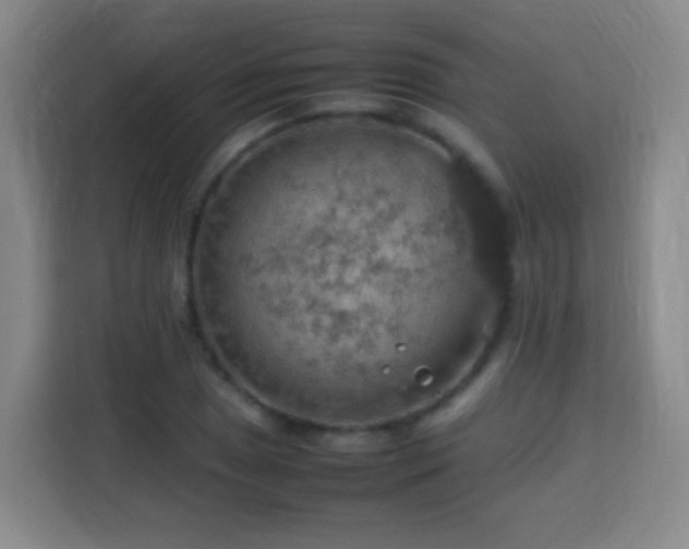 X0000113781025200909301145
