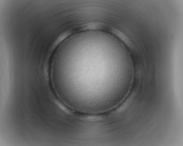 X0000113781026200909301145