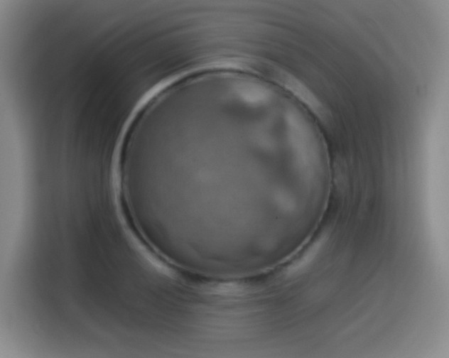 X0000113781028200909301145