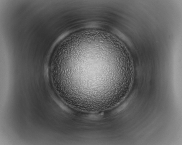 X0000113781029200909301145