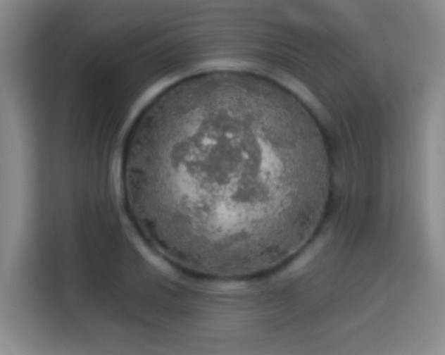 X0000113781030200909301145