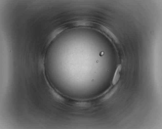 X0000113781033200909301145
