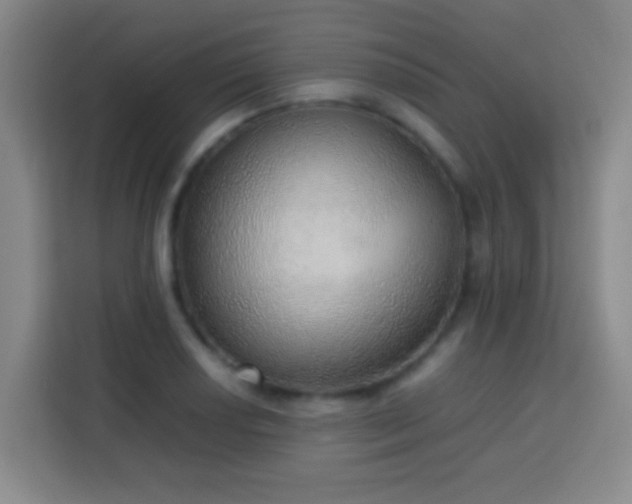 X0000113781034200909301145