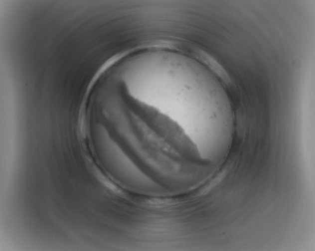 X0000113781036200909301145