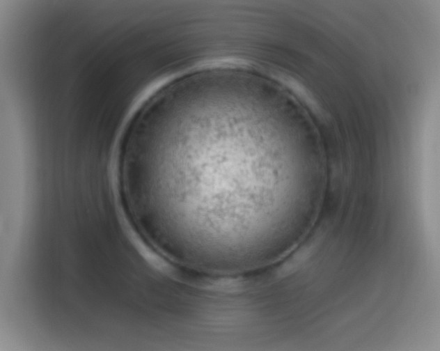 X0000113781038200909301145