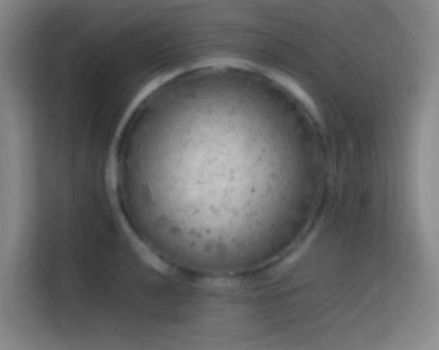 X0000113781040200909301145