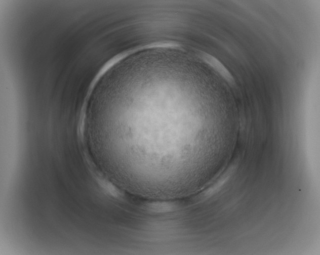 X0000113781044200909301145