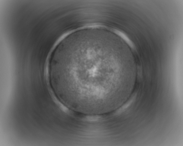 X0000113781046200909301145