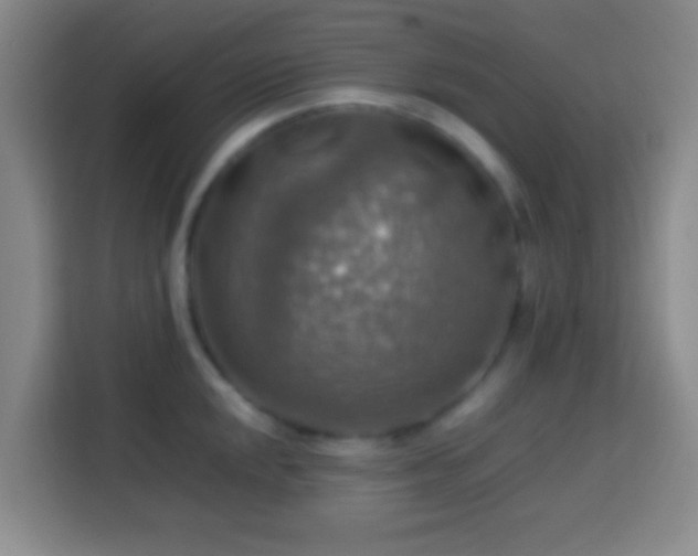 X0000113781048200909301145