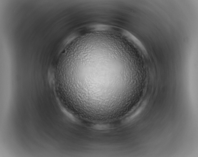 X0000113781049200909301145