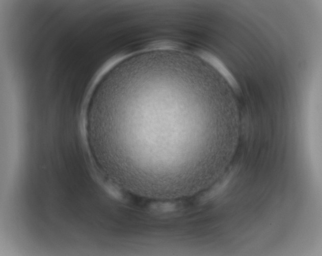 X0000113781051200909301145