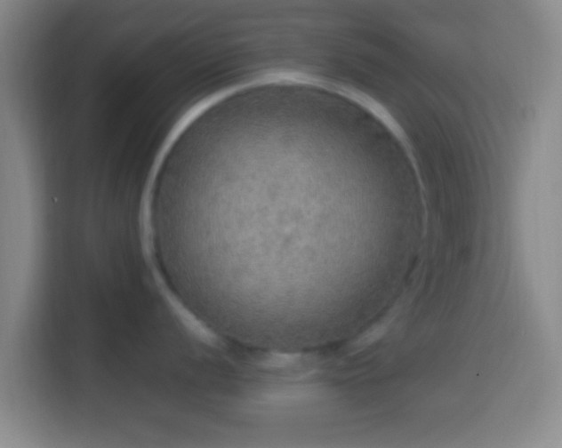 X0000113781056200909301145
