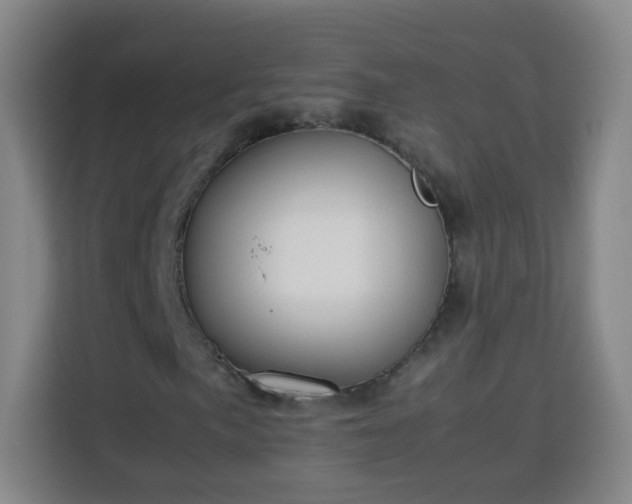 X0000113781057200909301145