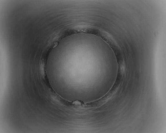X0000113781060200909301145