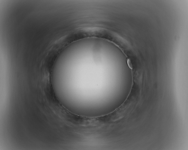 X0000113781061200909301145
