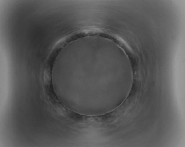 X0000113781063200909301145