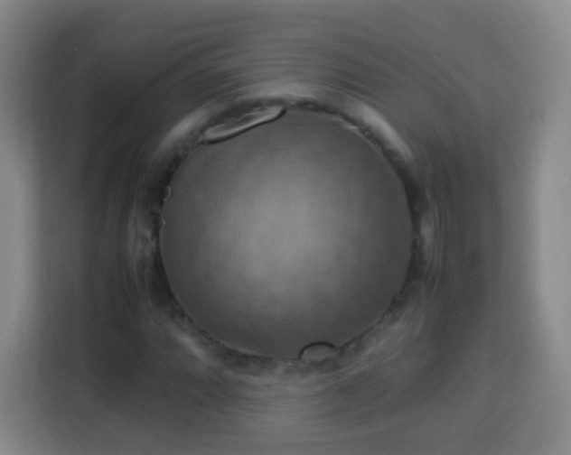 X0000113781064200909301145