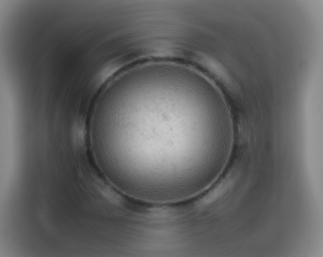 X0000113781065200909301145