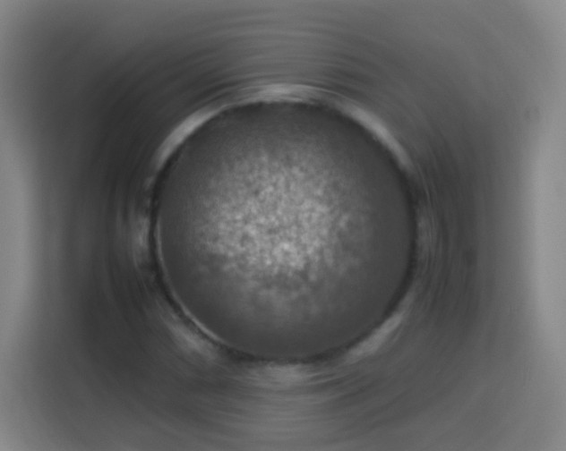 X0000113781066200909301145