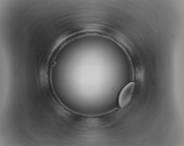 X0000113781068200909301145