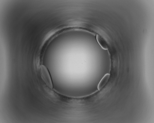 X0000113781069200909301145