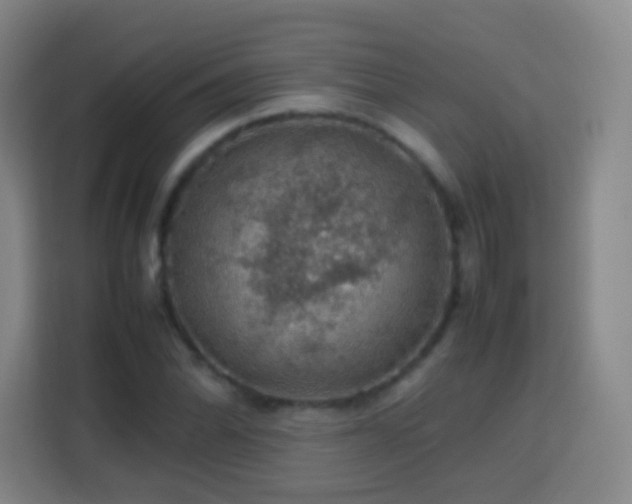 X0000113781070200909301145