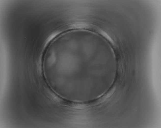 X0000113781071200909301145