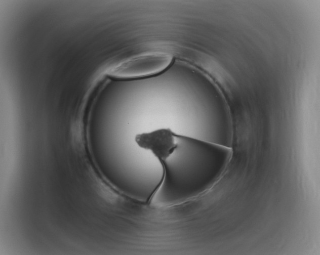 X0000113781072200909301145