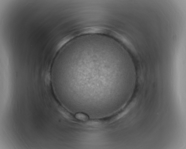 X0000113781073200909301145
