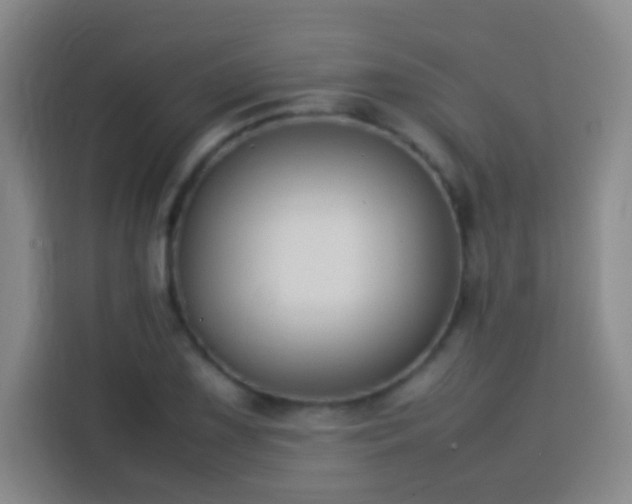 X0000113781075200909301145