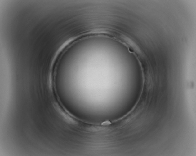 X0000113781076200909301145