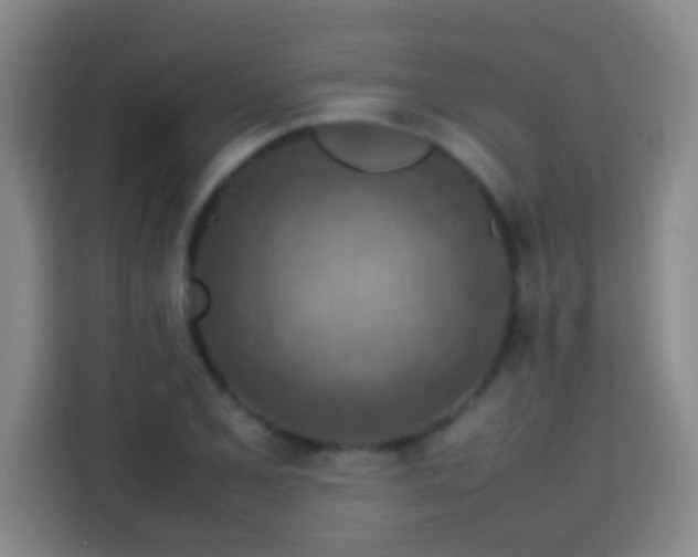 X0000113781077200909301145