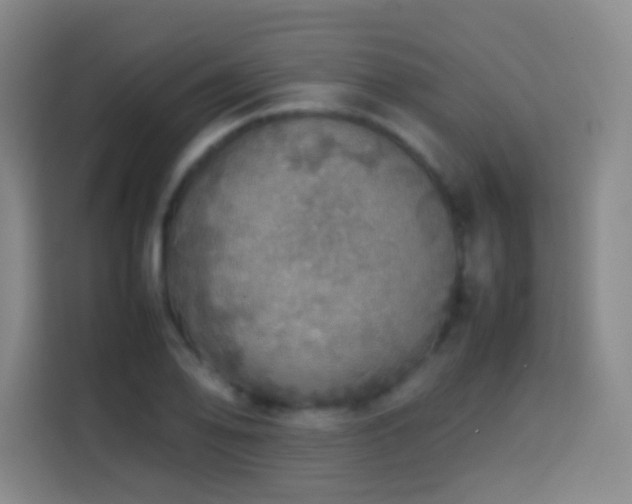 X0000113781078200909301145