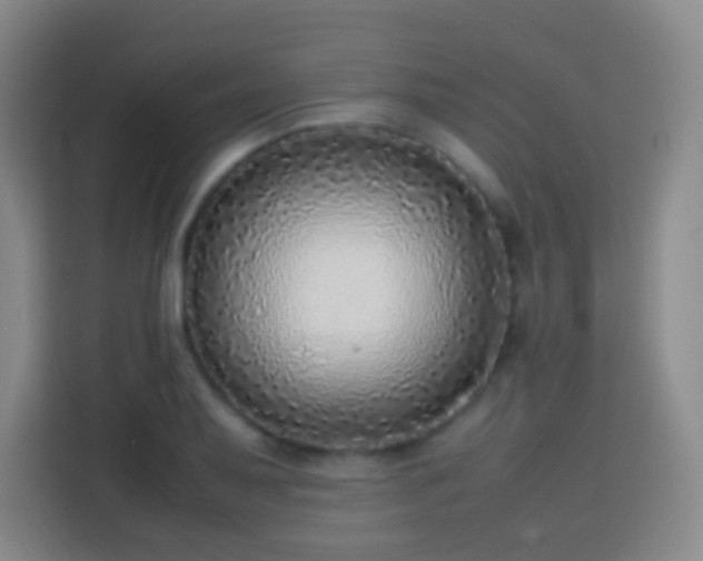 X0000113781079200909301145