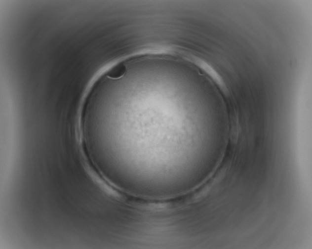X0000113781080200909301145