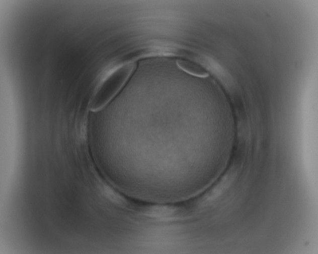 X0000113781081200909301145
