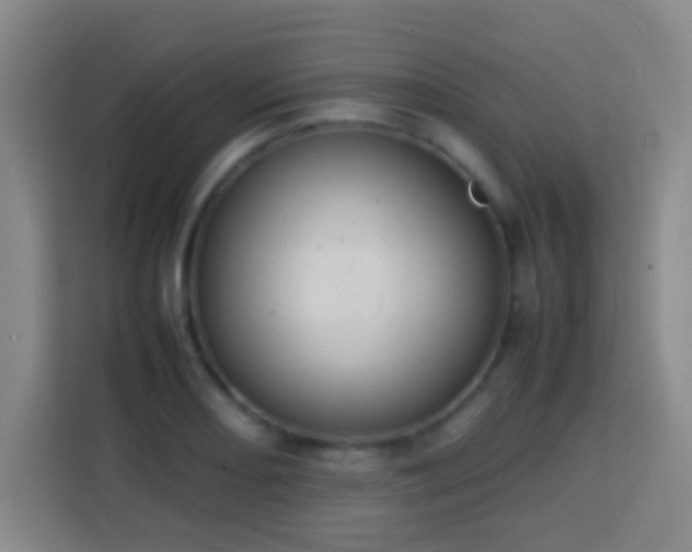 X0000113781082200909301145