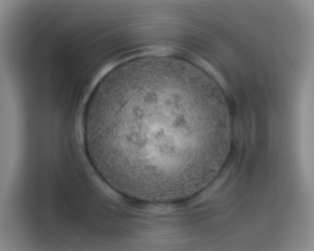 X0000113781083200909301144