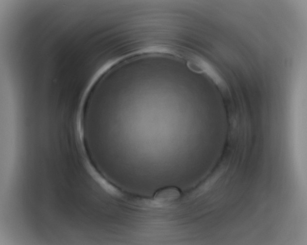 X0000113781084200909301144