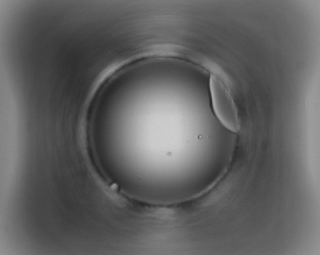 X0000113781085200909301144
